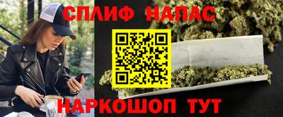 дурь Сланцы