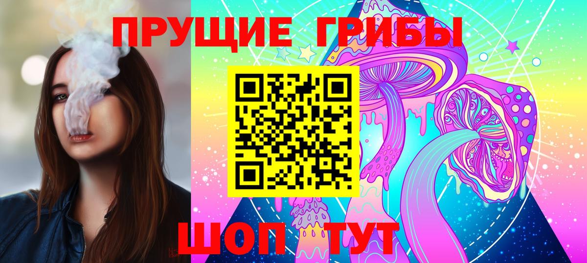 как найти закладки  Вход с VPN  Мценск  Галлюциногенные грибы мухоморы  Псилоцибиновые грибы Psilocybe 