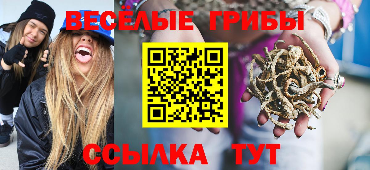 Галлюциногенные грибы мицелий Мценск